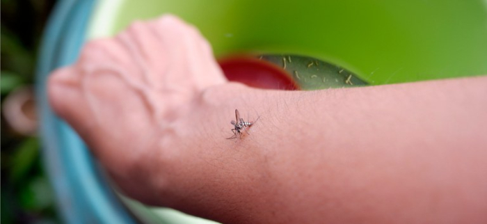 Ministério da Saúde lança campanha de conscientização para diminuir casos de dengue, zika e chikungunya