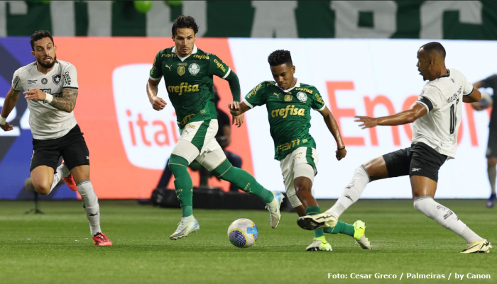 Botafogo vence o Palmeiras e dá passo importante na briga pelo título do Brasileirão