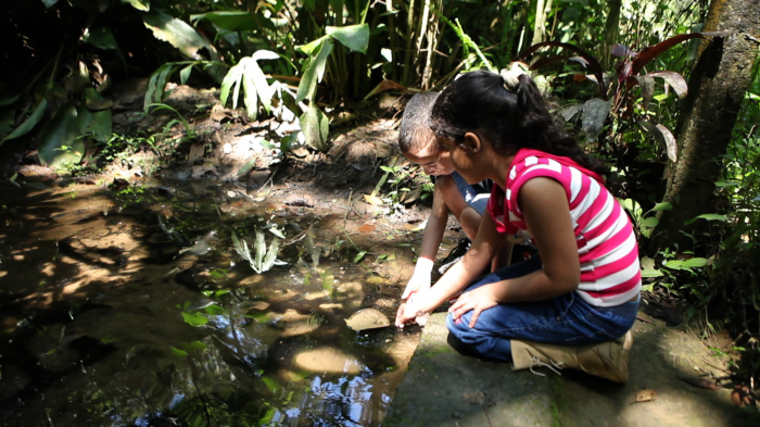 Início da primavera reforça atenção à infraestrutura de saneamento durante período de chuvas em Mauá Início da primavera reforça atenção à infraestrutura de saneamento durante período de chuvas em Mauá