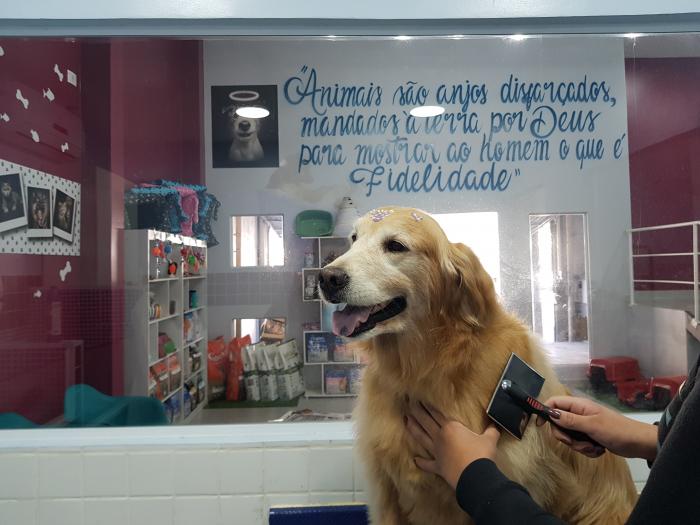 Espaço Vet Napoleão quer trazer novos conceitos em veterinária e estética animal para ser referência em Mauá