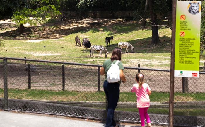 Zoológico, Zoo Sáfari e Jardim Botânico reabrem após caso de febre amarela em macaco