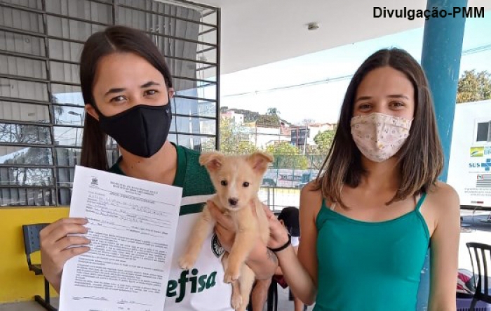 Castramóvel Animal de Mauá realiza 28 operações de castração no último sábado